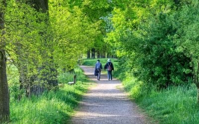 6 things to consider when saving for retirement.